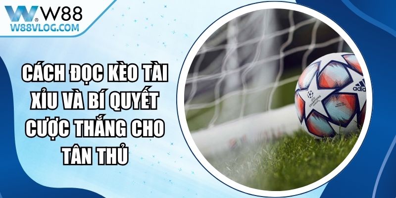 Cách Đọc Kèo Tài Xỉu